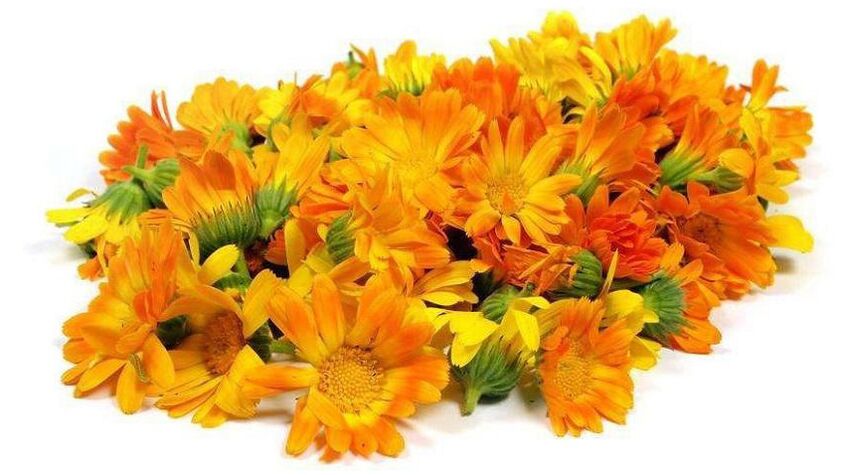 Calendula extract in Promicil